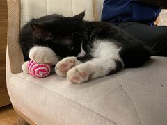 -么么咖啡(燕郊店)