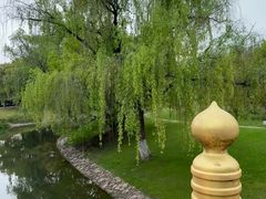-东方绿舟景区