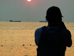 -宝安西湾红树林湿地公园