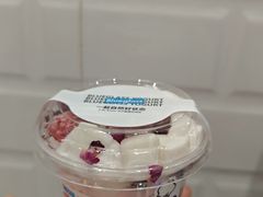 -Blueglass酸奶(财富购物中心店)