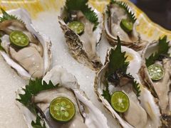 -天鹰观渔(梦园店)
