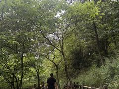 -娄山关景区