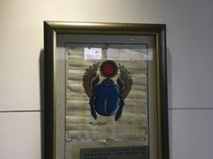 -上海昆虫博物馆