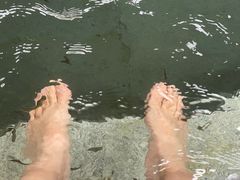 -惠州金海湾嘉华度假酒店