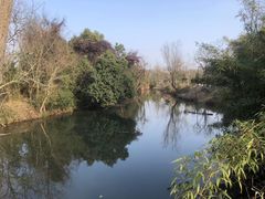 -西溪国家湿地公园