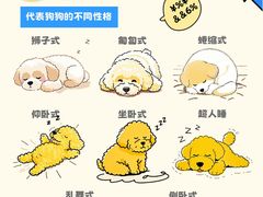 -守诺宠物医院·眼科· 特色牙科·异宠专科(虹口店)