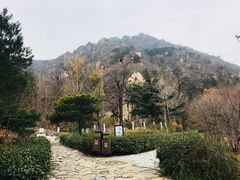 -北京鹫峰国家森林公园