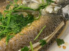 -银峰农庄·特色烧鸡·鲜无花果浸鸡