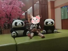 -大江户·温泉洗浴(浑南店)