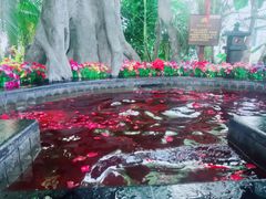 -东方华地城湿地温泉度假区
