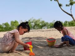 -东郊湿地公园
