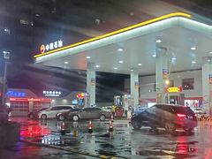 -中国石油加油站(严桥路站)