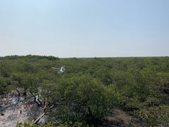 -北海金海湾红树林生态旅游区