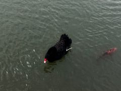 -芭东小镇温泉