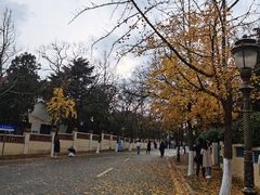 -八大关景区