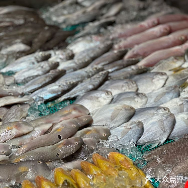 深圳uu再也不用羡慕嘉之派的生腌小青龙了🦞