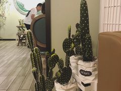 -春风·有糖(崇宁路店)