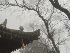 -秦岭终南山世界地质公园翠华山景区