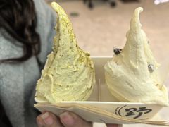 开心果gelato-野人先生现做冰淇淋(贵阳万象汇店)