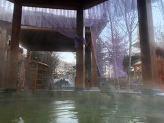 -汉拿山温泉度假酒店