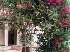 -华谊兄弟（长沙）电影小镇