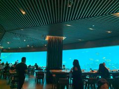 -海棠湾洲际-涛·海底餐厅·美人鱼·自助餐·海底隧道