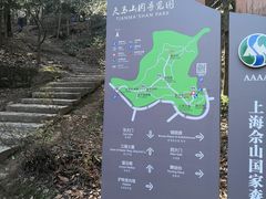 -上海佘山国家森林公园天马山园