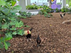 -Versailles Restaurant Cuban Cuisine