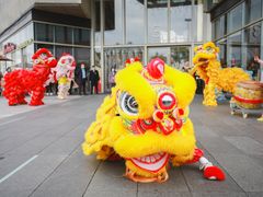 -上海协和双语学校(浦东校区)