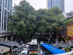 -绵阳人民公园(涪城区)
