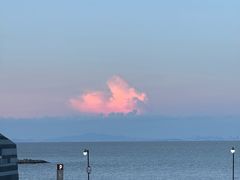 -野狸岛