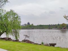 -上海海湾国家森林公园