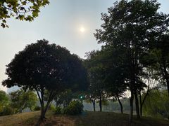 -后襄河公园