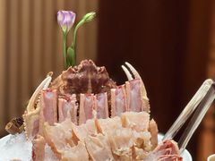 -揽季锅物会.福建黄鱼.海鲜姿造(五四路店)