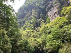 -碧峰峡风景区