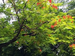 -晓港公园