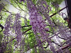 -尹兰楼西北风情餐厅(嘉定店)