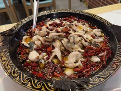 沸腾水煮鱼-金三可市井水煮鱼(金碧园店)