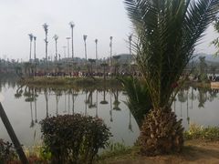 -枫香湖儿童公园