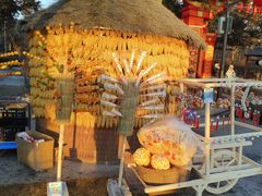 -长春市南湖公园