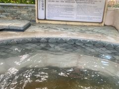 -碧水湾温泉