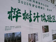 -汤旺河林海奇石景区