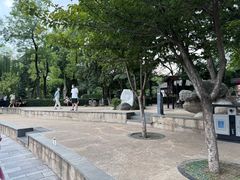 -莲湖公园