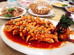 松鼠鱼-金牌餐厅·天津菜·八珍豆腐·老爆三(瓷房子店)
