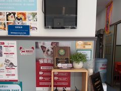 -伟伟宠物医院·瑞派猫友好医院·猫科(光谷店)