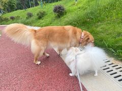 -洋湖国家湿地公园