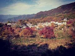 -塔川景区