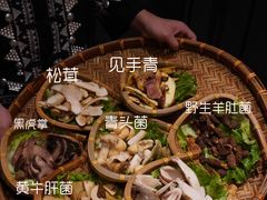 -滇野云南野生菌餐厅(陕西南路店)