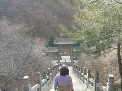 -藏山旅游风景区