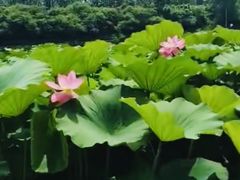-前关湿地公园